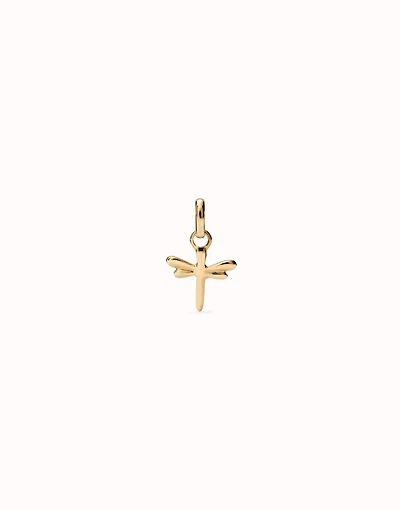 Dragonfly-shaped charm