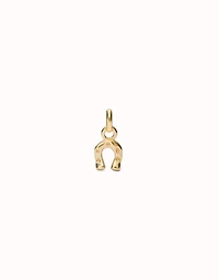Horseshoe-shaped Charm