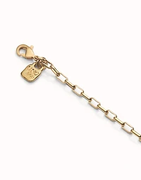 Long link chain necklace