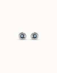 Sterling silver-plated earrings with crystal