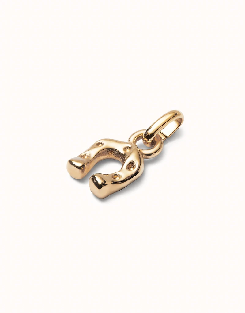 Horseshoe-shaped Charm