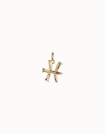 Pisces shaped charm