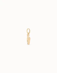 Medium U initial charm