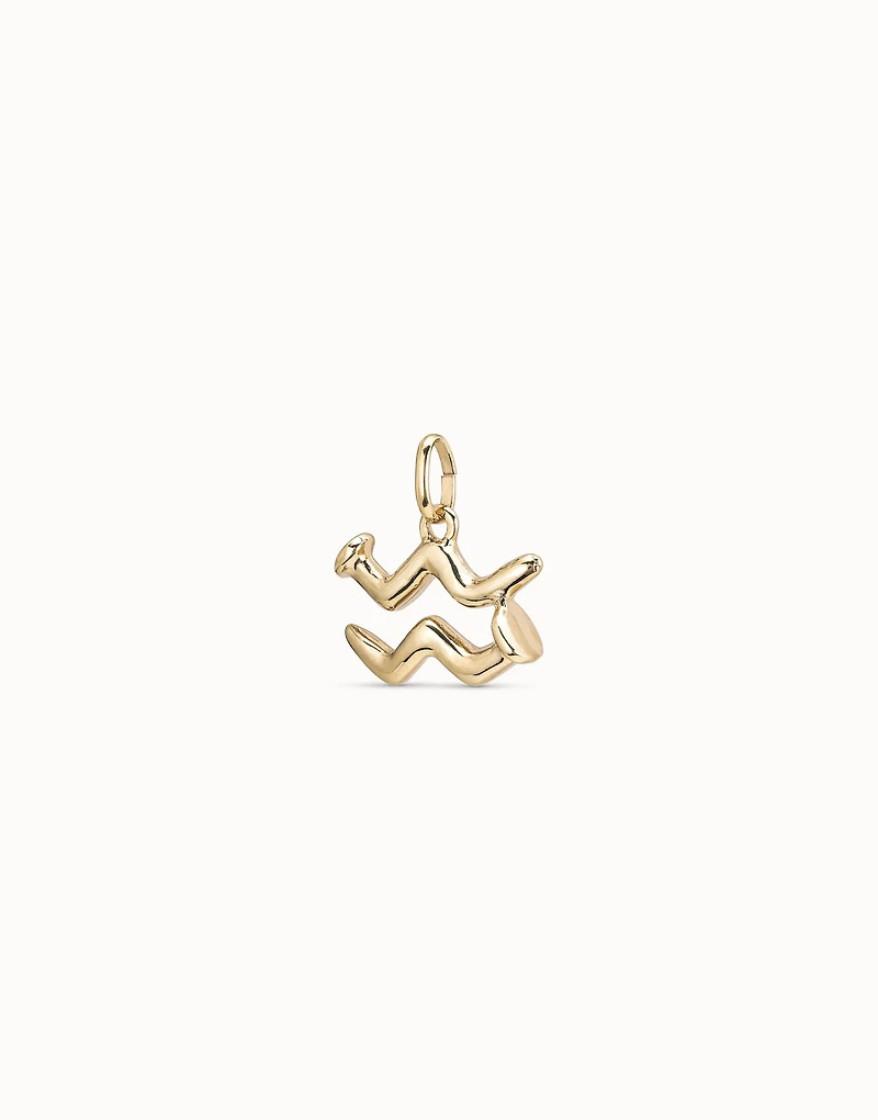 Aquarius shaped charm