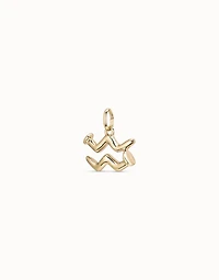 Aquarius shaped charm