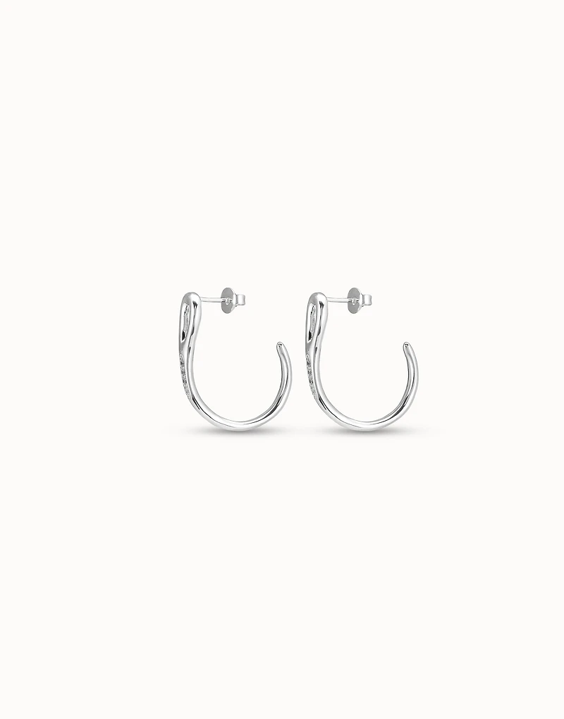 EarRing Silver Needle