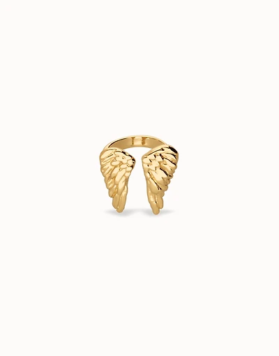 Ring with wing design