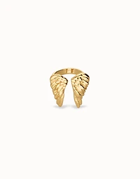 Ring with wing design