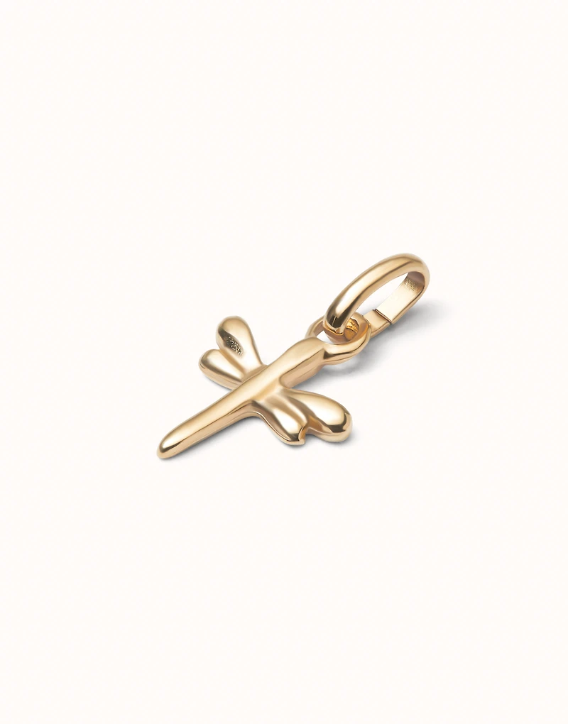 Dragonfly-shaped charm