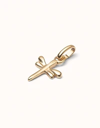 Dragonfly-shaped charm