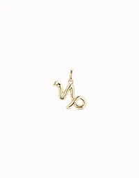 Capricorn shaped charm