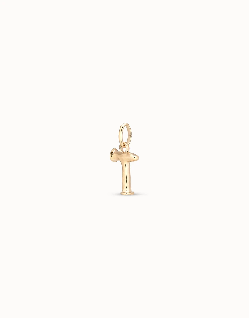 Medium T initial charm