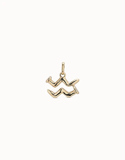 Aquarius shaped charm