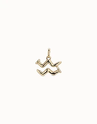 Aquarius shaped charm