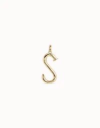 Large S initial charm
