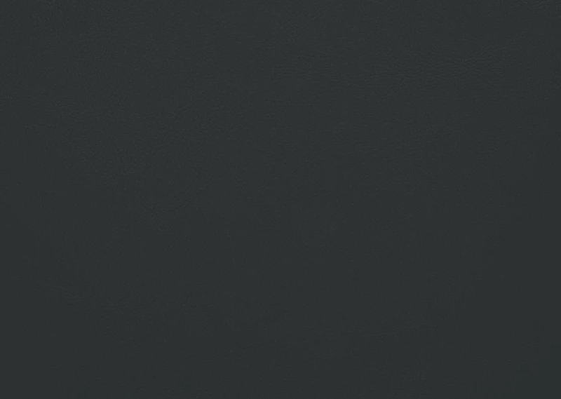 Lancaster Dining Chair -Rakel Black