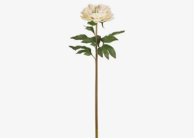 Jayde Peony Stem Ivory