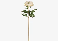Jayde Peony Stem Ivory