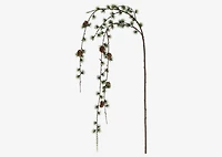 Larix Larch Branch