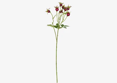 Lise Crabapple Branch Red