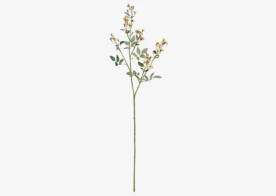 Matilda Rose Branch Ivory