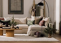 Fernie Tree Potted Large