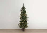 Flurry Tree 7FT Pre-Lit Green