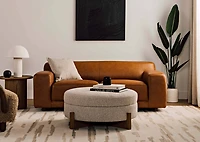 Kani Travelers Palm Potted X-Large