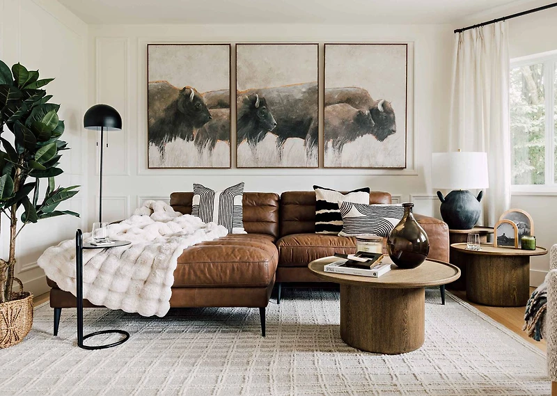 Bison Wall Art Set