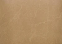 Bobby Counter Stool -Bellissimo Tan
