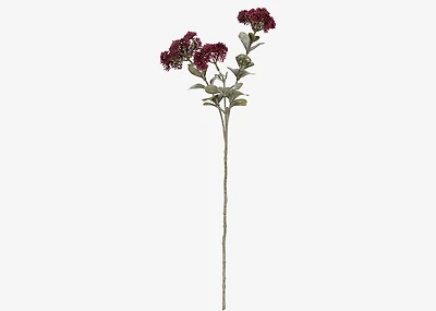 Astrid Sedum Branch Bordeaux