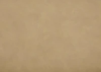 Lennox Counter Stool -Brennan Tan