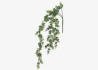 Marla Hanging Eucalyptus
