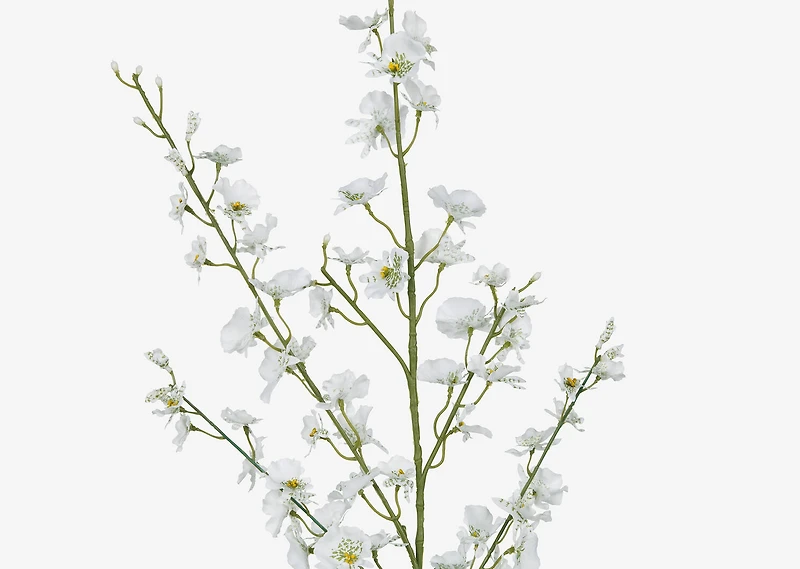 Liza Dancing Orchid Branch