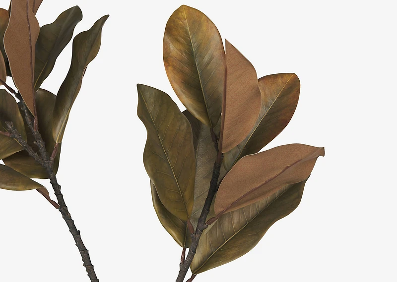 Bruno Magnolia Branch Brown