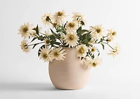 Daleyza Vase Small Savanna