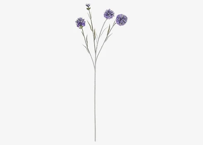 Noa Echinops Branch Purple