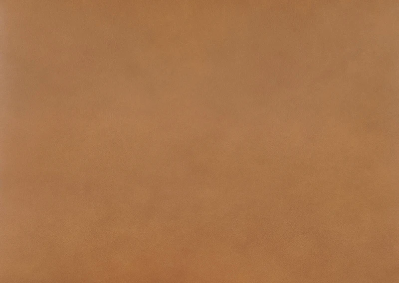 Ciera Leather Dining Chair -Olson Camel