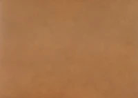 Ciera Leather Dining Chair -Olson Camel