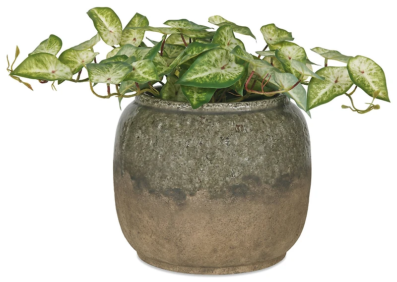 Farlay Planter Clover