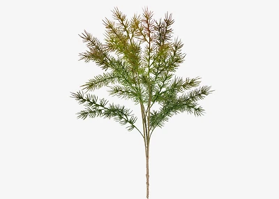 Arnot Pine Bunch Green