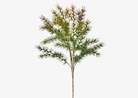 Arnot Pine Bunch Green