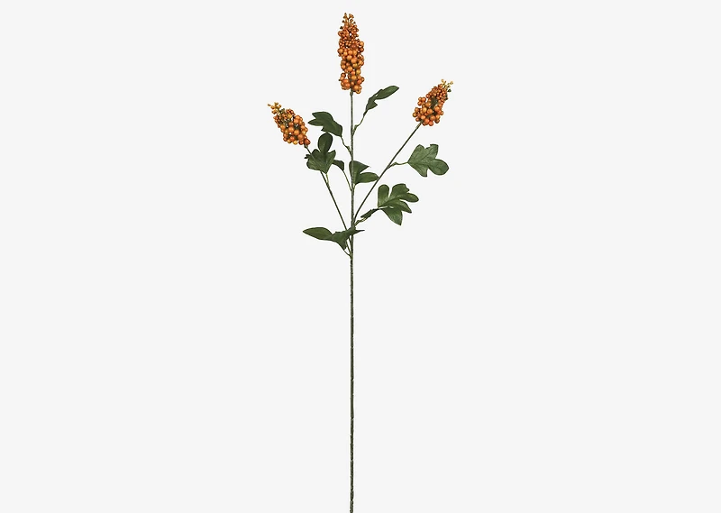 Scarlett Firethorn Stem Orange