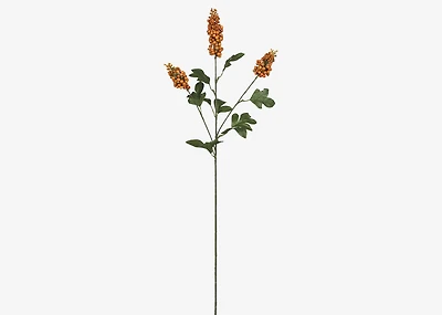 Scarlett Firethorn Stem Orange