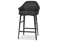 Frayah Counter Stool -Eli Black