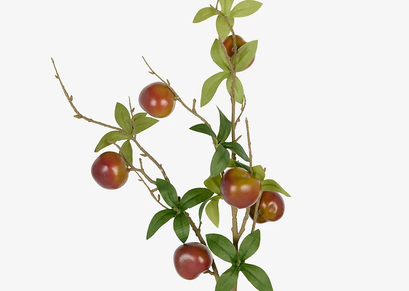 Kori Plum Branch Brown