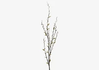 Jessa Pussy Willow Branch White