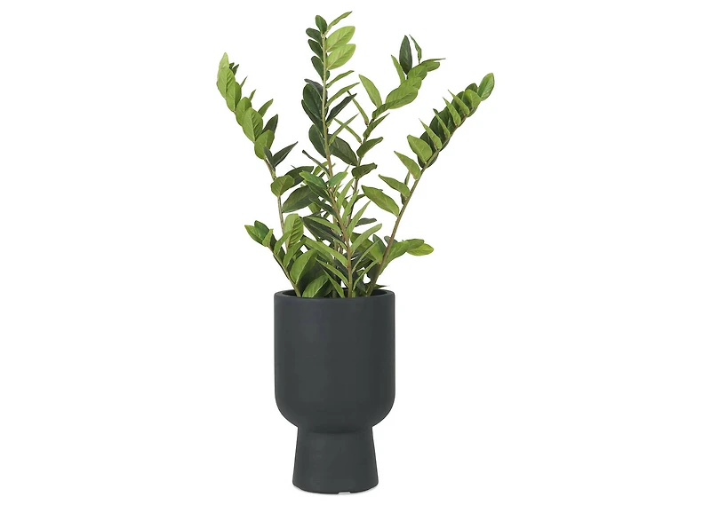 Ingrid Planter Medium Black