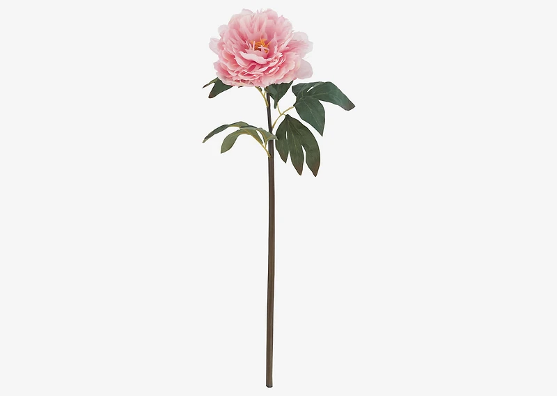Jayde Peony Stem Pink