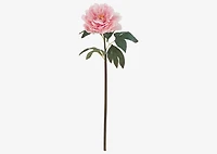 Jayde Peony Stem Pink